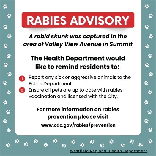 green, red, and white graphic with rabies advisory information