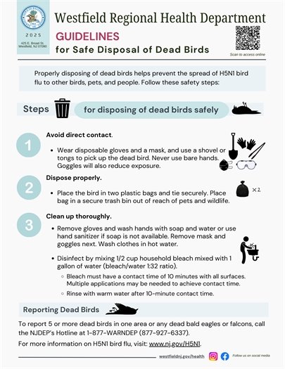 informational flyer with details about bird flu advisory