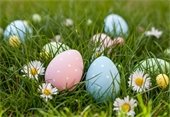 easter eggs in grassy field