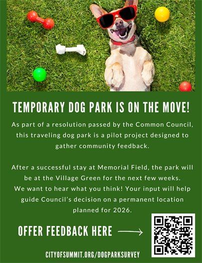 dog park survey flyer