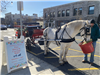 image of white horse on beechwood ave in summit pulling a carriage for horse and carriage rides