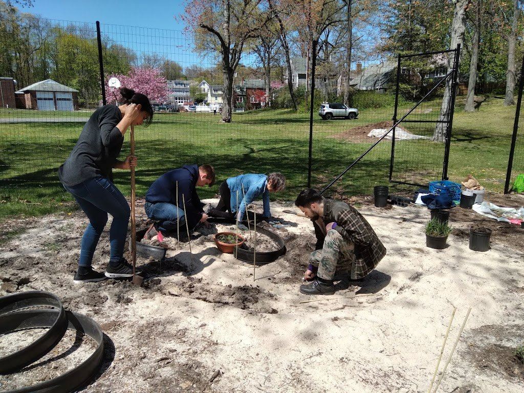 image of summit tiny forest