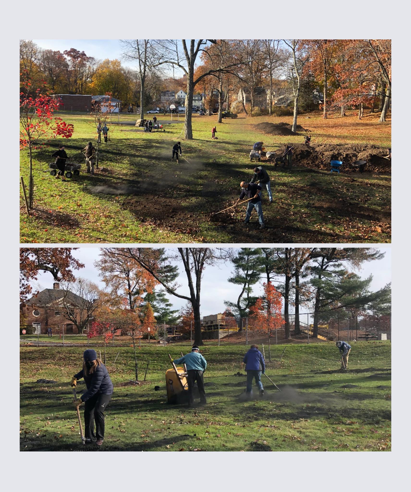 image of summit tiny forest
