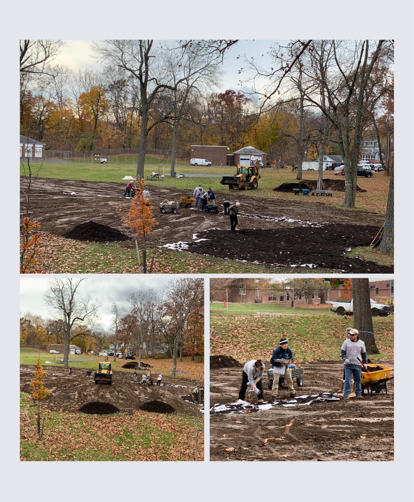 image of summit tiny forest
