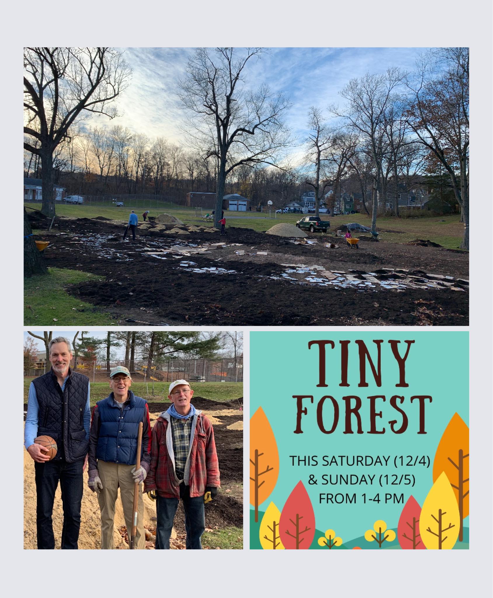 image of summit tiny forest