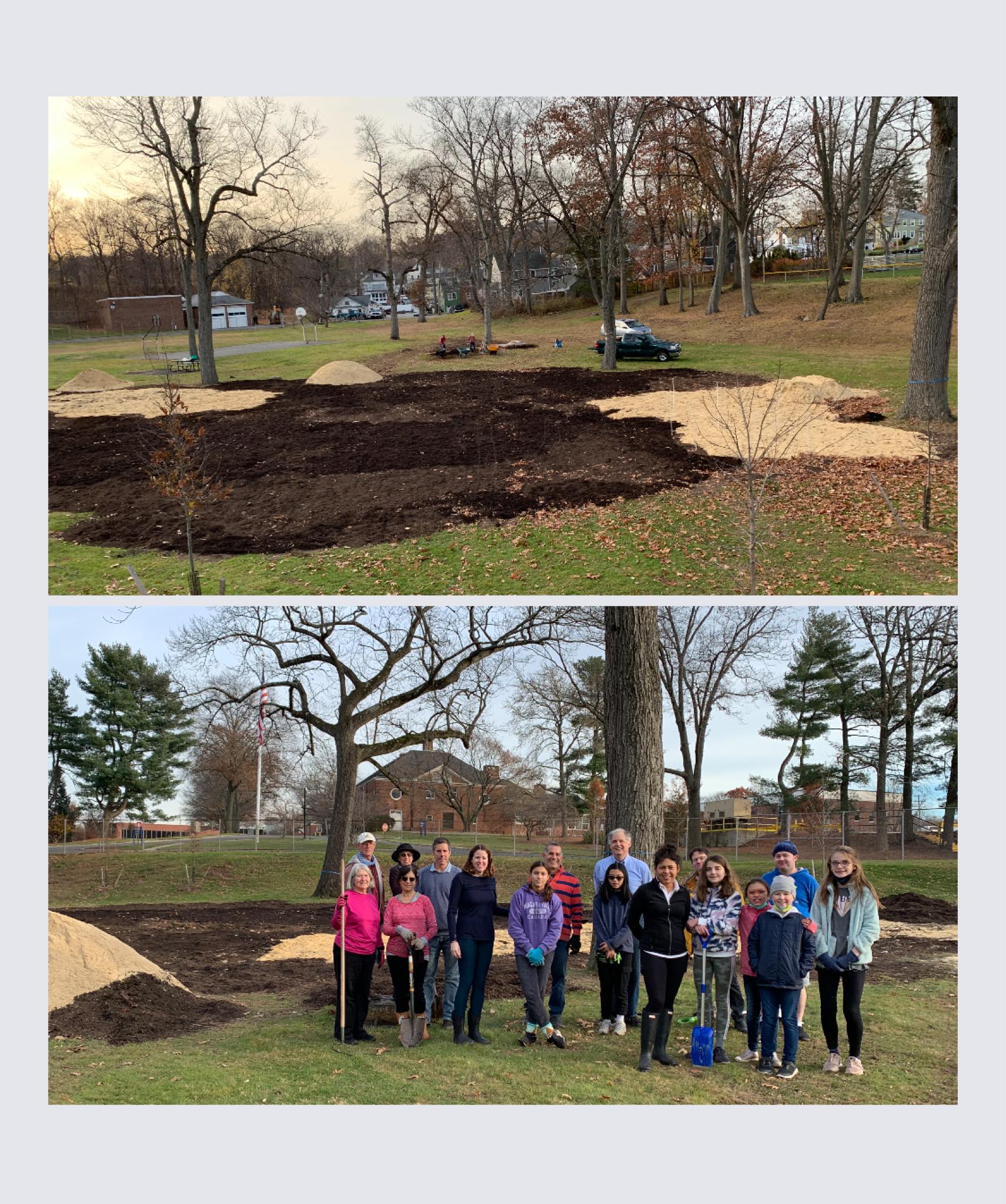 image of summit tiny forest