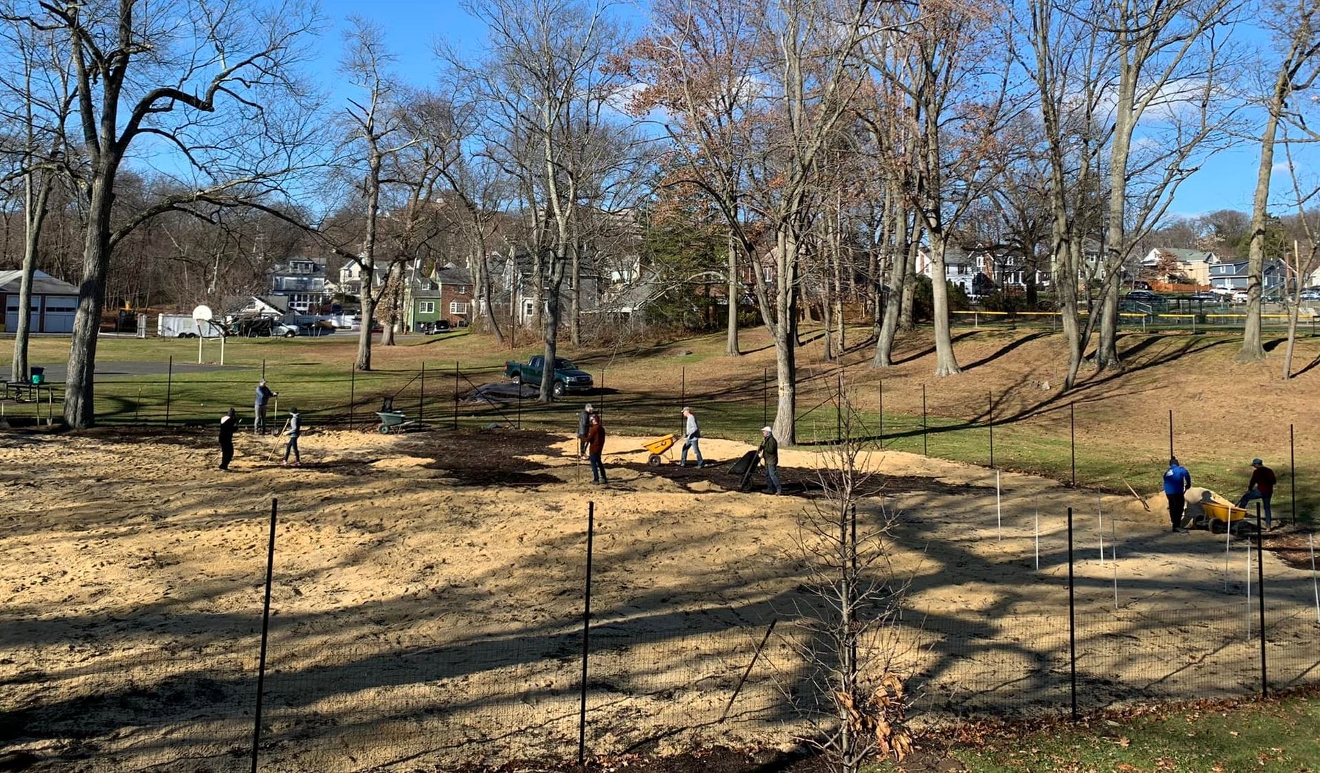 image of summit tiny forest