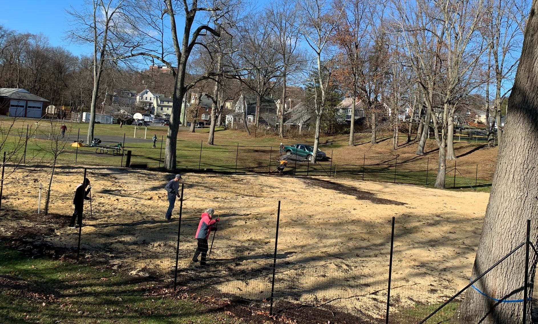 image of summit tiny forest