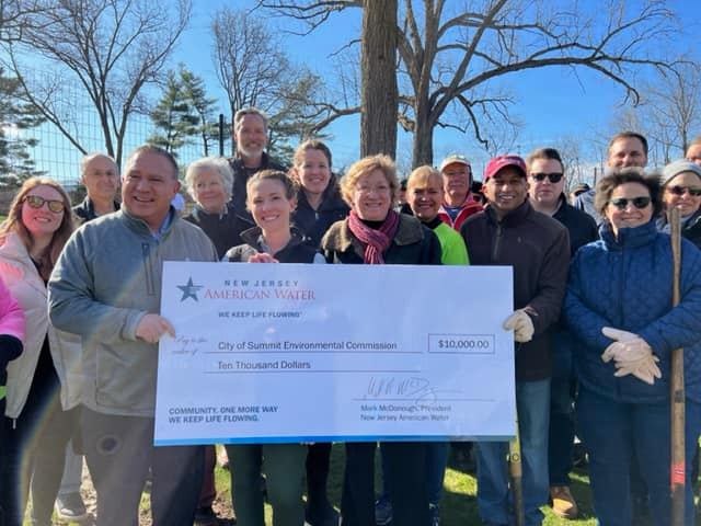 image of tiny forest