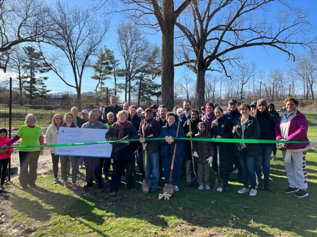 image of tiny forest