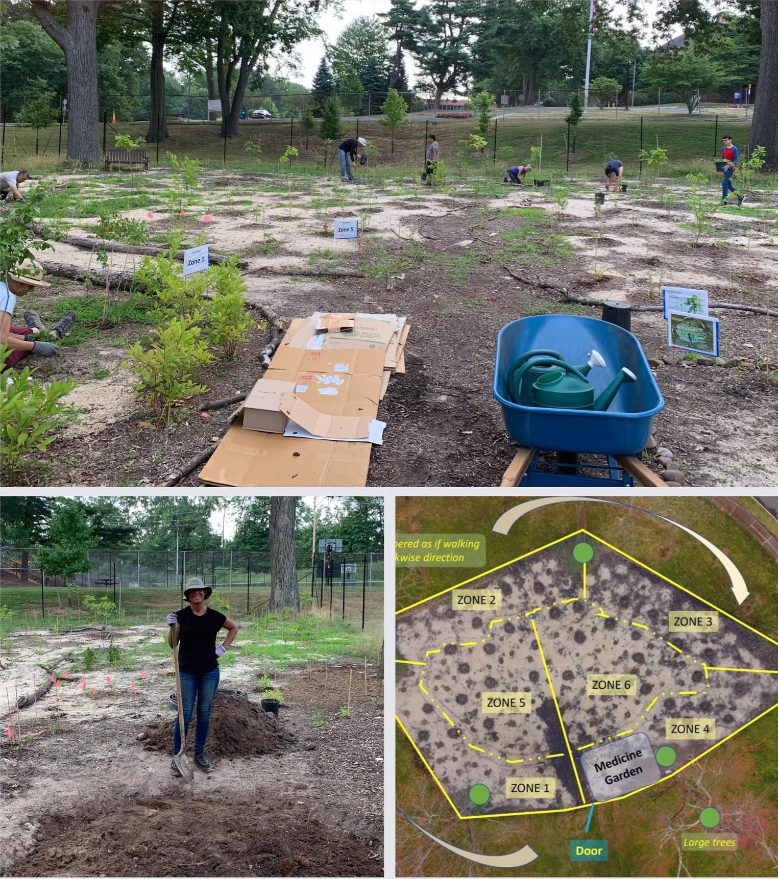 image of tiny forest