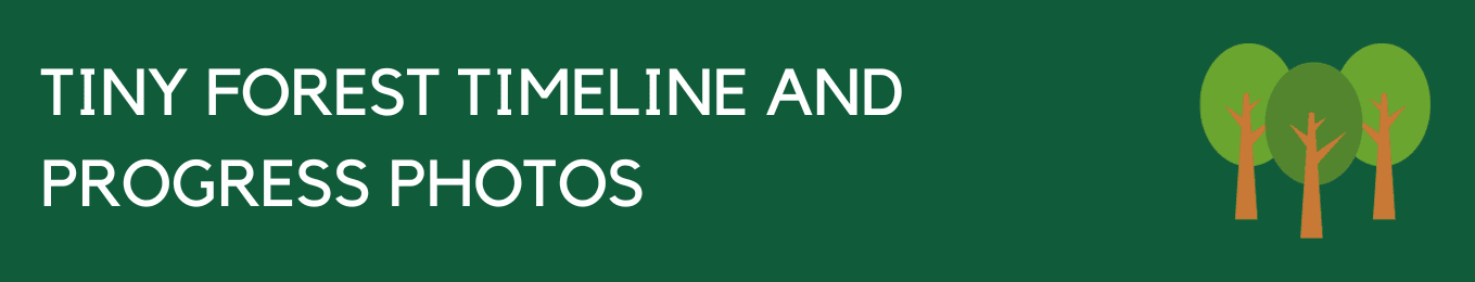 green banner graphic