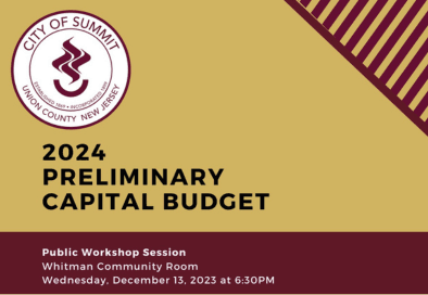 screenshot of budget presentation workshop