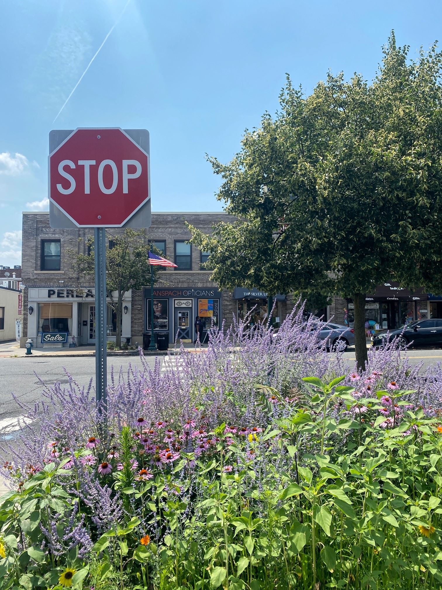 purple flowers and stop sign with downtown summit street in the background