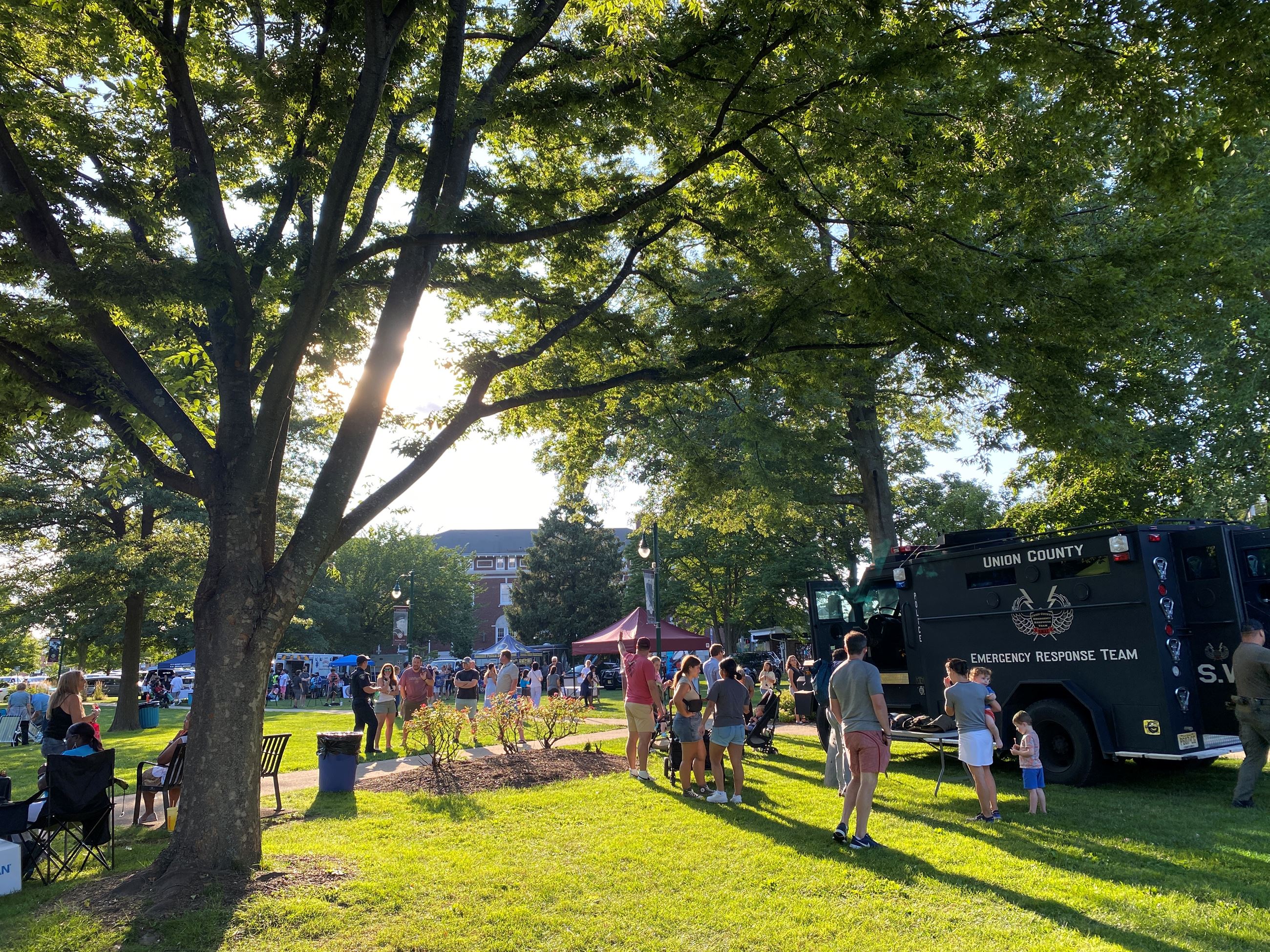 residents gathered on the village green for national night out