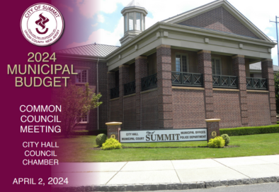 budget presentation screenshot