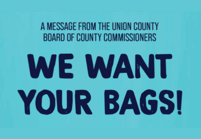 gray garbage can against small wooden shed