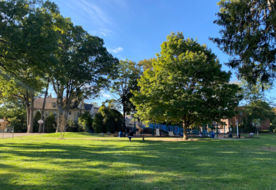public park area with green grass, trees, and blue sky