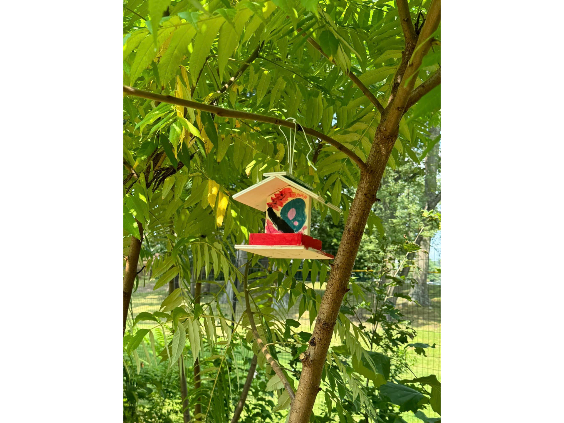 colorful bird house in green tree with other plants and trees surrounding it