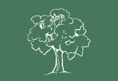 green and white tree graphic