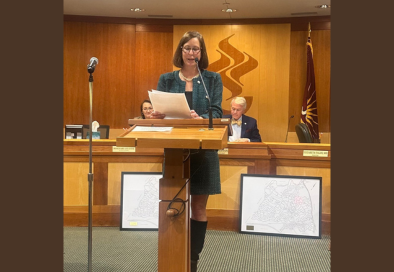 Mayor at podium in council chamber