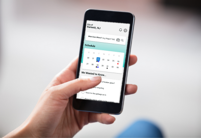 person holding cell phone