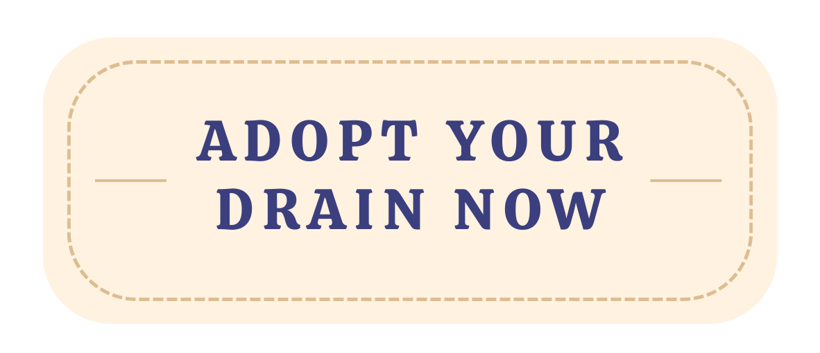 Adopt your drain now button