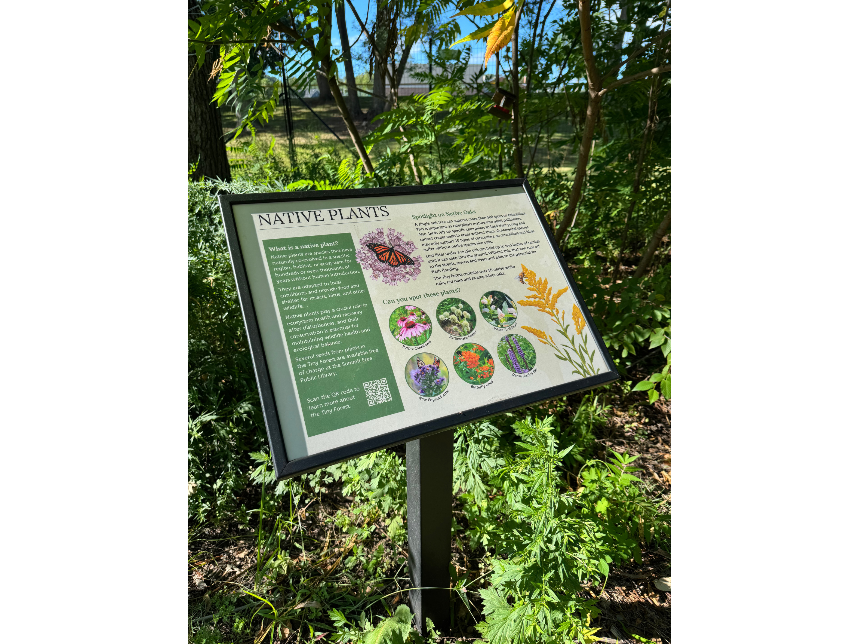 Educational sign in forest