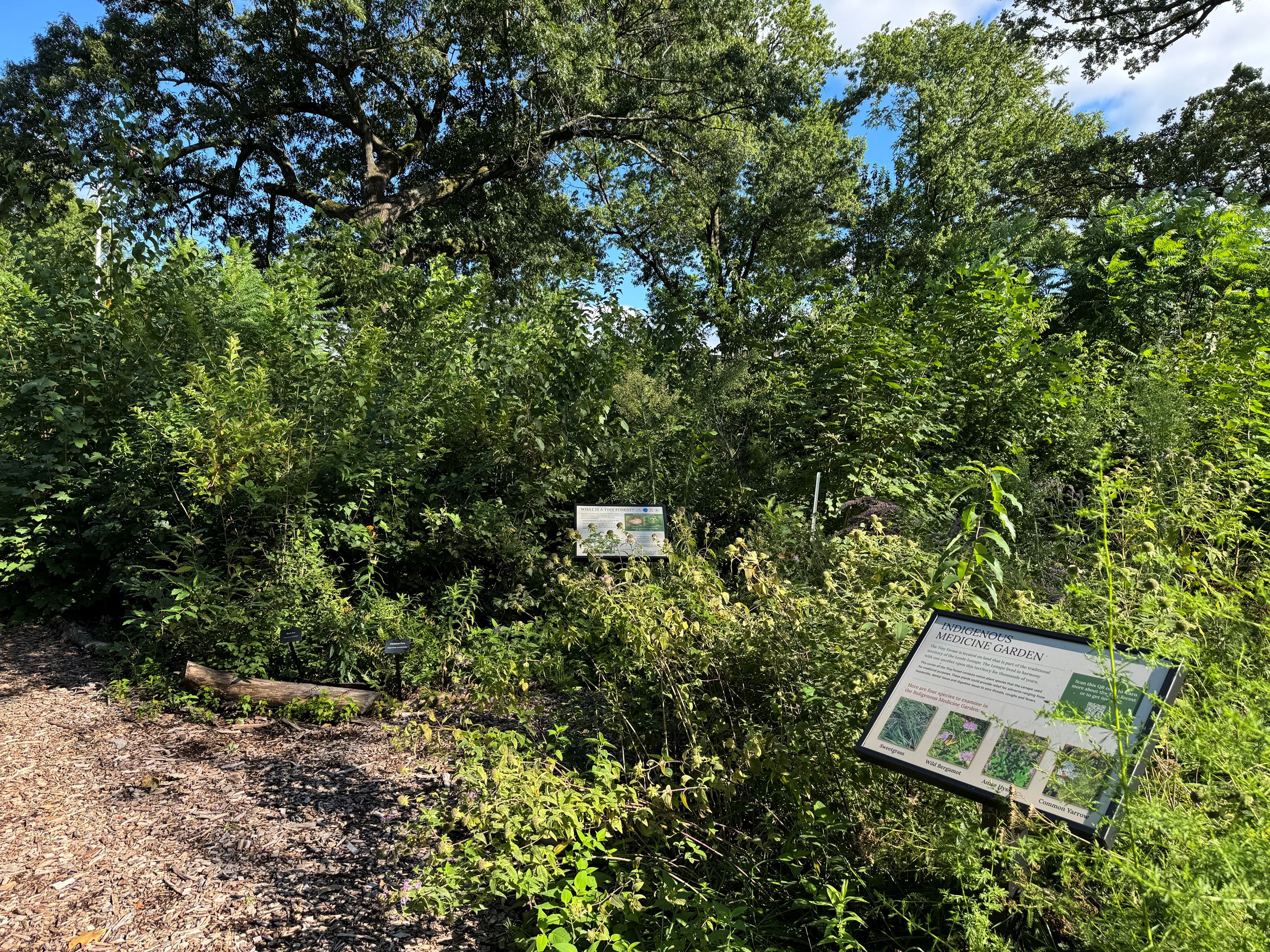 Educational sign in forest
