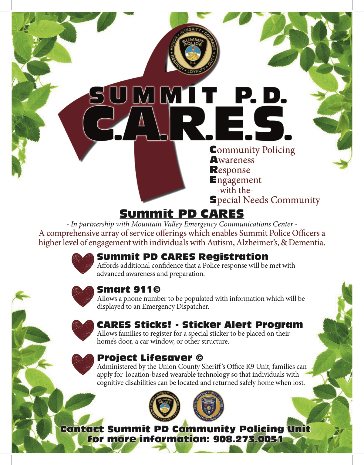 Summit PD CARES Flyer