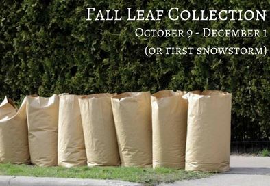 Fall leaf collection (2)