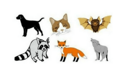 Newsflash post animals