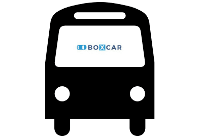 Copy of Copy of Ash borer beetle