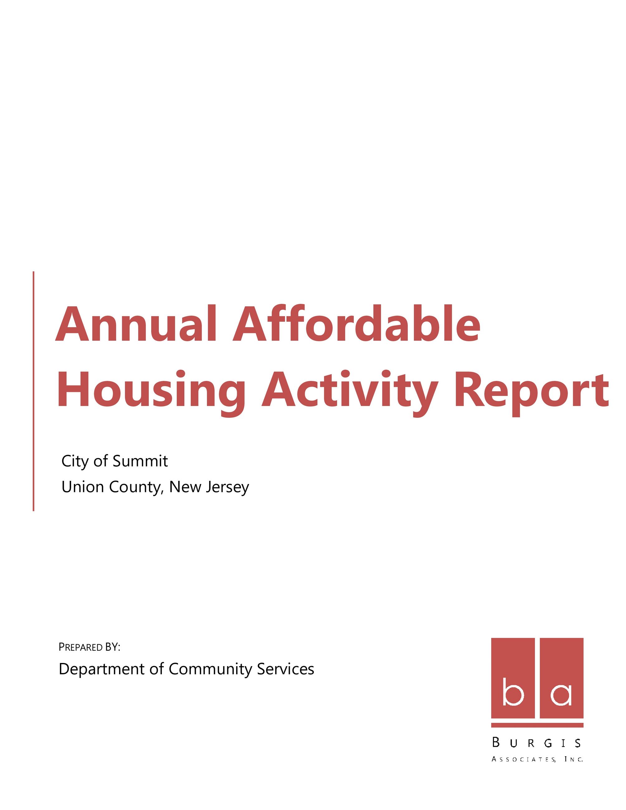 Annual Affordable Housing Activity Report cover page in red text and Burgis Associates logo in red
