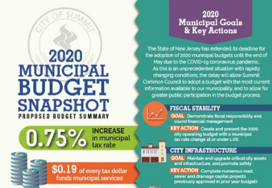 budget snapshot(1)