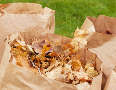 Bagged leaves