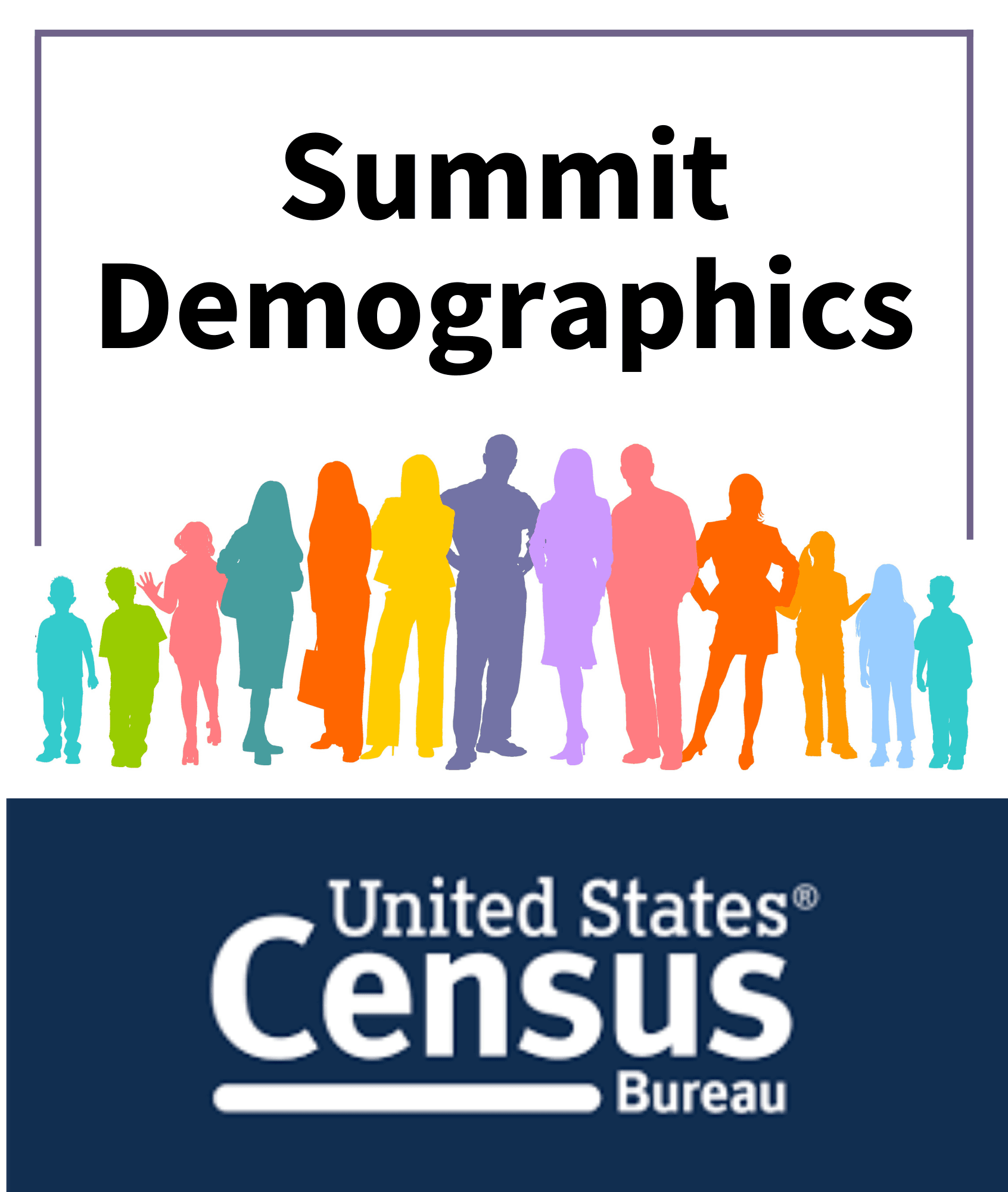 Graphic reading summit demographics