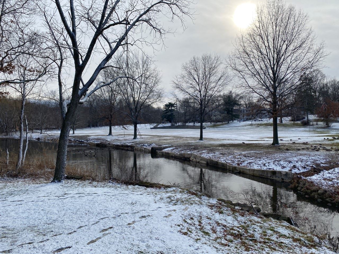photo of Bryant Park in the snow