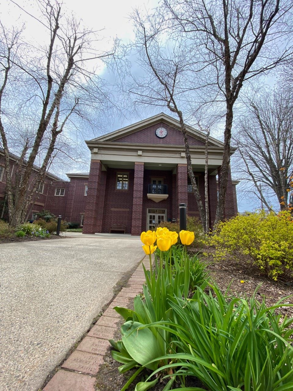 image of summit city hall 