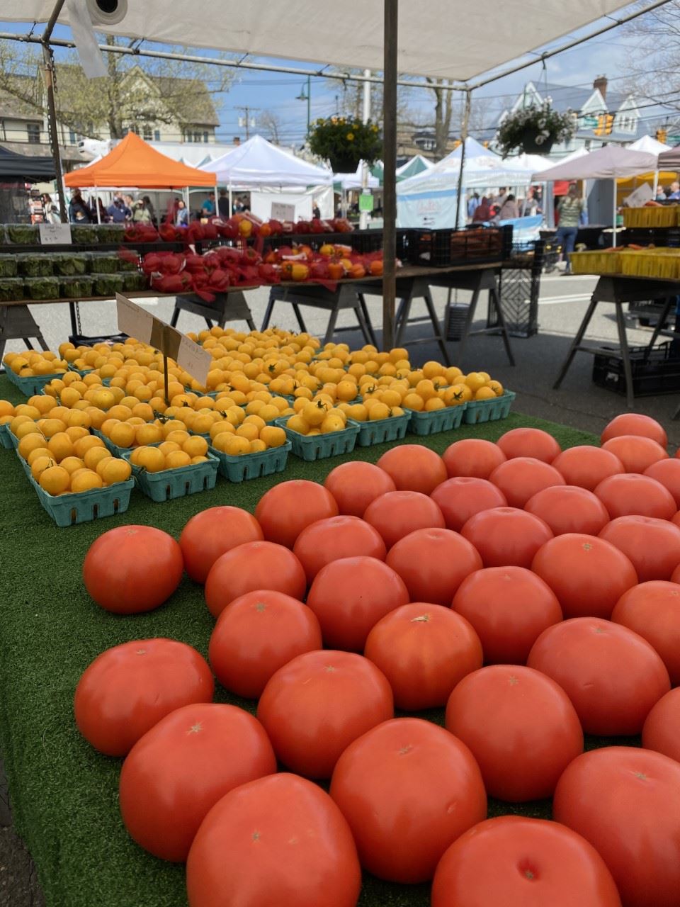 image of tomatoes on a table at the farmers market