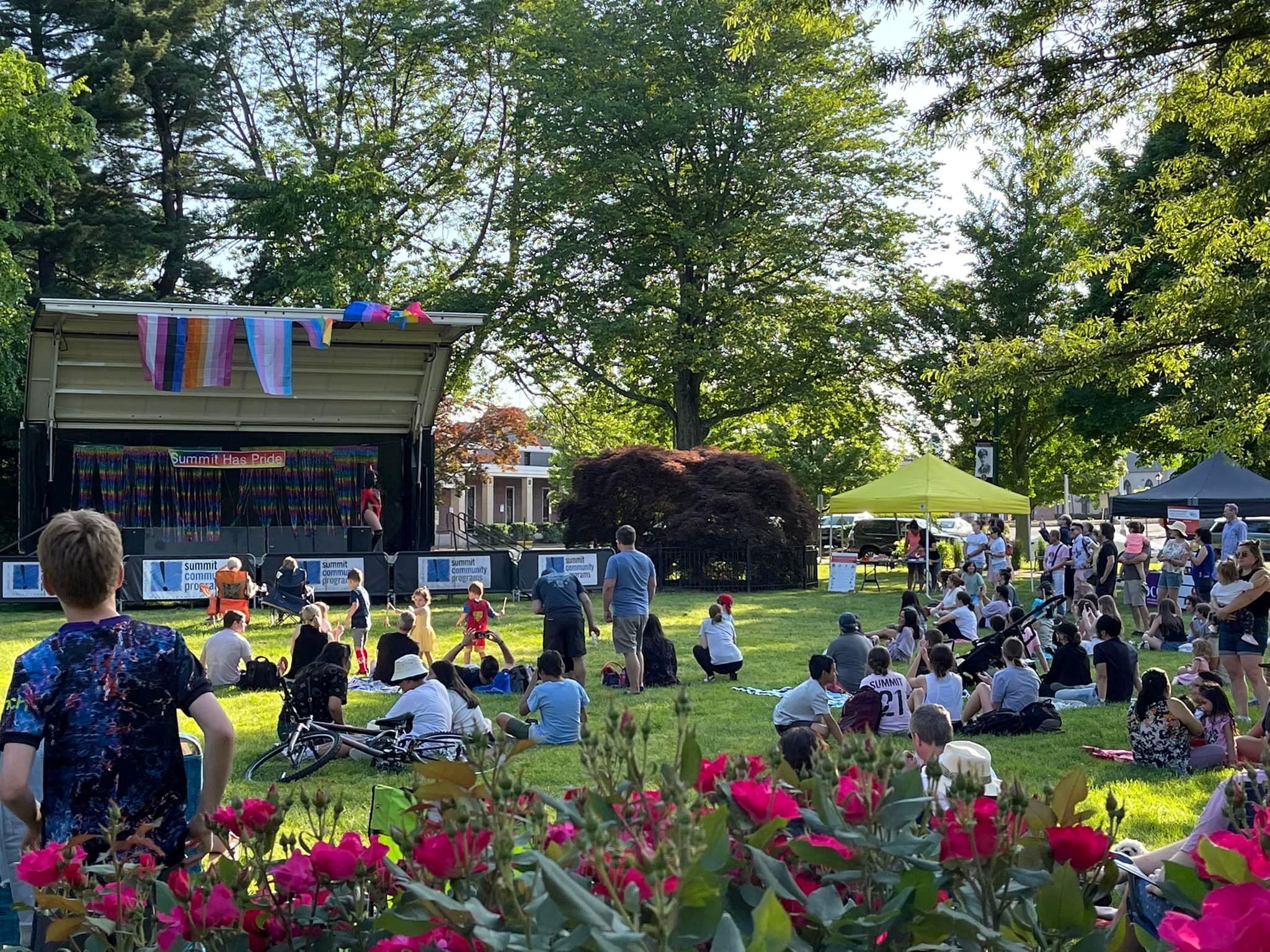 image of people at event on the Village Green