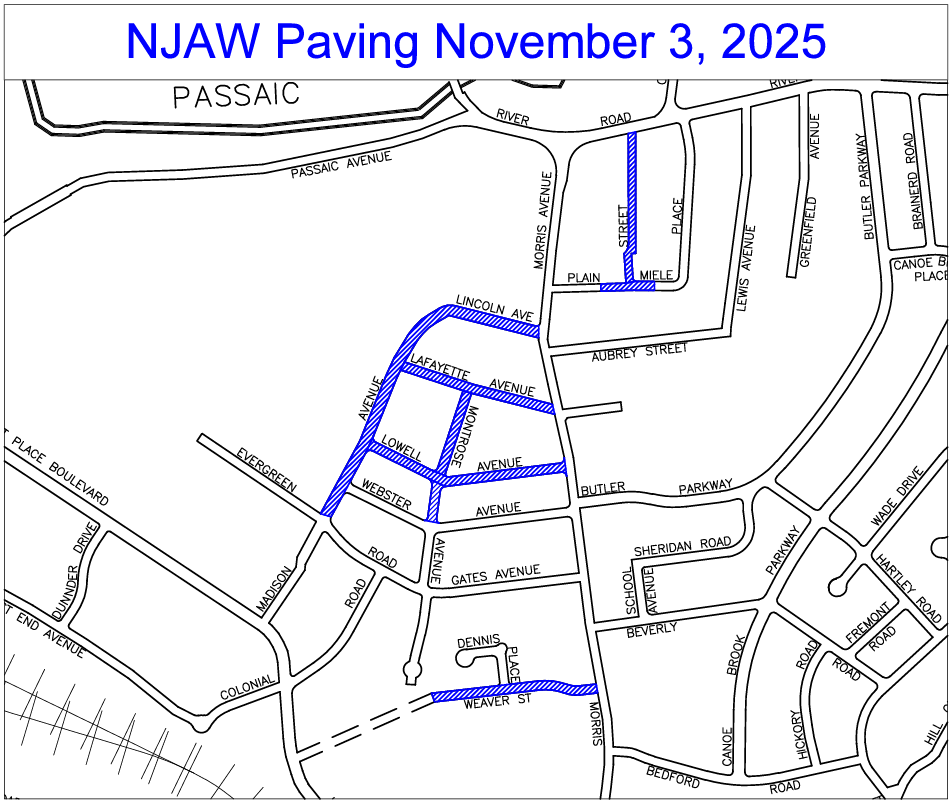 screenshot of paving map