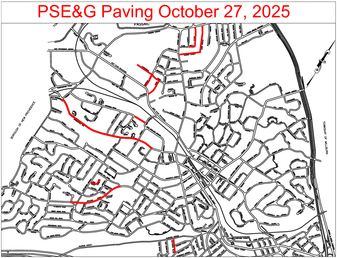 screenshot of paving map