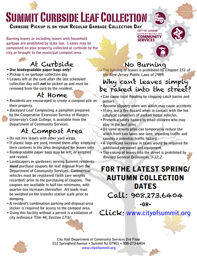 Leaf collection flyer
